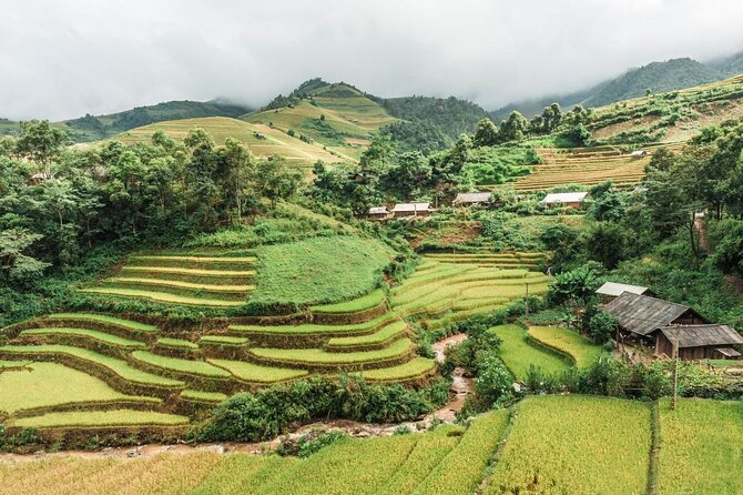 Sapa Easy Trekking Tour 1 Day – Rice Paddies and Cultures