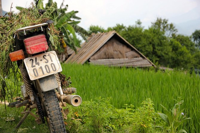 Sapa Motorbike Tour 1 Day See All Of Rice Fields & Valleys in One Day