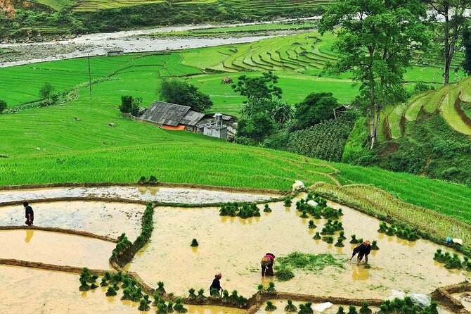 Sapa Trekking 2 Days 1 Night Transfer By Sleeper Bus - Itinerary Overview