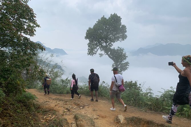 Sapa Trekking Trail 1 Day – Mountain & Terraced Rice Valley View