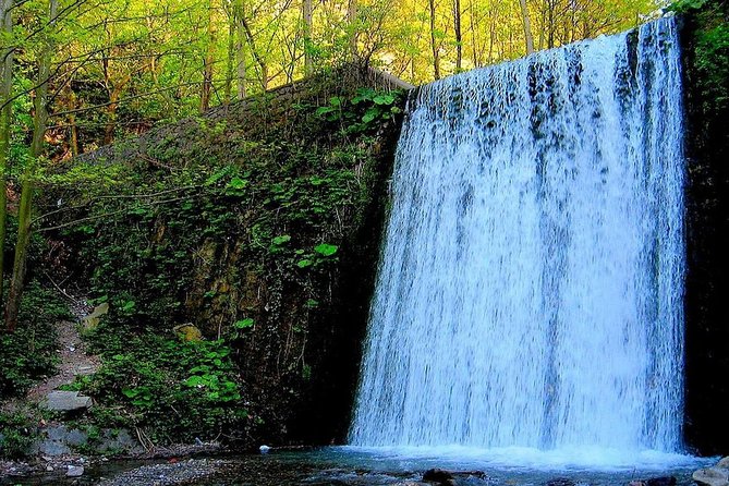 Sapanca Lake & Masukiye Zoo Tour With Lunch