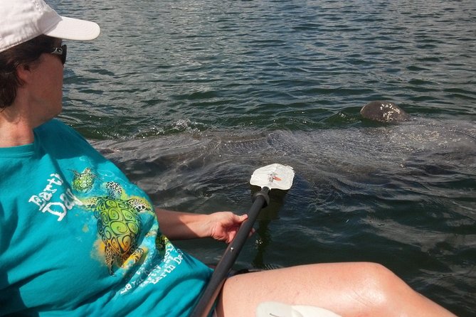 Sarasota Guided Mangrove Tunnel Kayak Tour