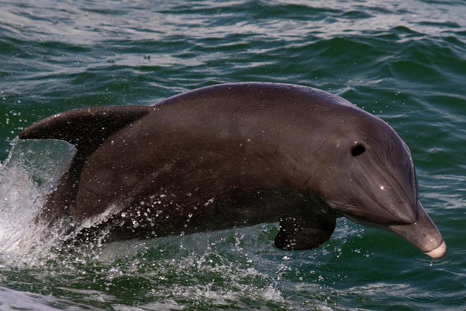 Sarasota Private Half-Day Boat Charter