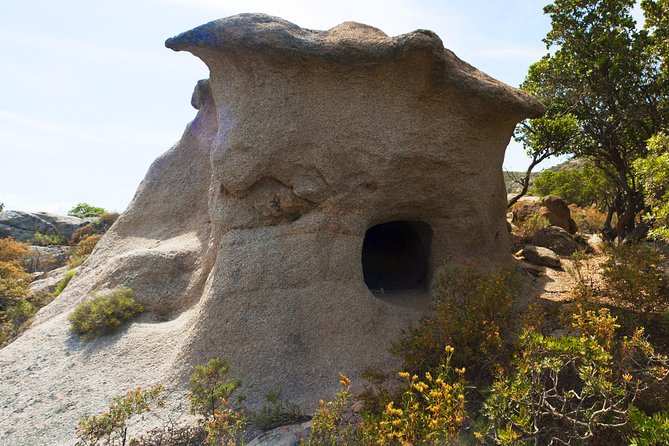 Sardinia Coastline and Inland Countryside Tour by 4x4 - Good To Know