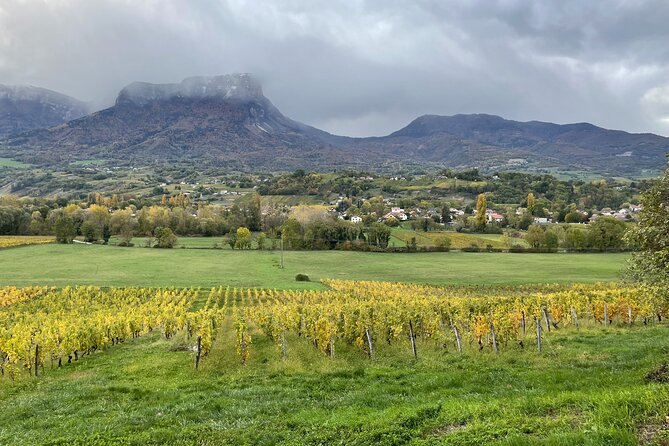 Savoie Wine Tour From Courchevel Winter Season - Good To Know
