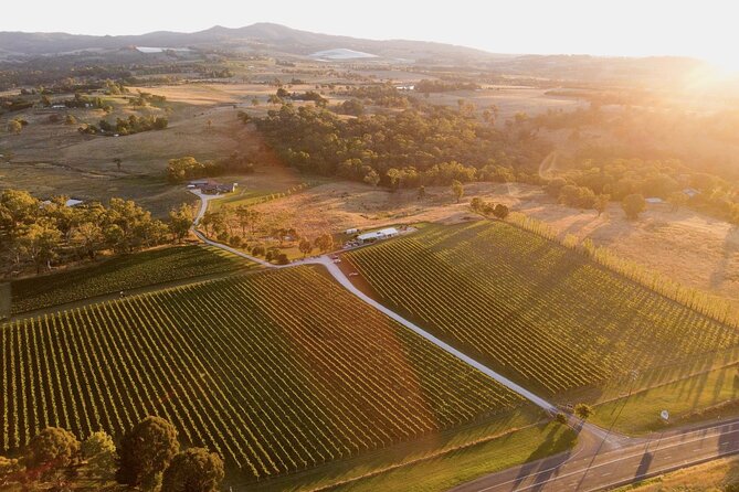 Savour With Swinging Bridge