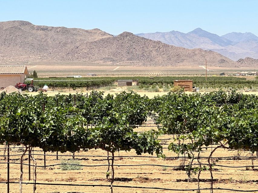 Scenic Desert Wine, Distillery Tastings/Brewery/RT66 & Lunch - Good To Know