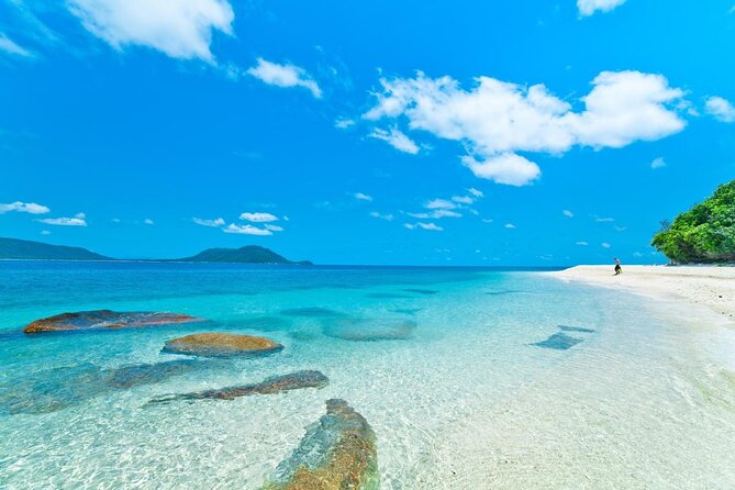 Scenic Helicopter Flight to Moore Reef and Return Snorkeling Cruise From Cairns