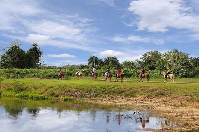 Scenic Horseback Riding Tour From San Juan - Tour Details