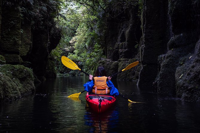 Scenic Lake McLaren Kayak Tour