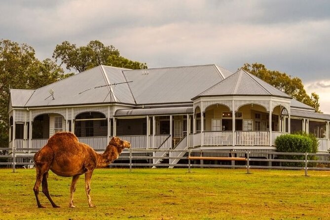 Scenic Rim Farm, Food & Wine Experience - Good To Know