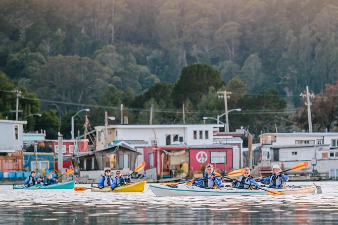 Scenic Sausalito Kayak Tour: Beginners Welcome