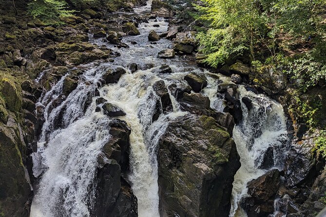 Scone Palace, Nature Walk and Whisky Experience From Glasgow