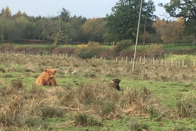 Scotland: Private Outlander-Themed Guided Tour - Edinburgh - Tour Overview and Details