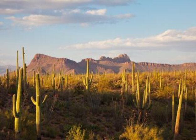 Scottsdale Desert Classic Hiking Adventure - Good To Know