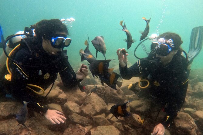 Scuba Dive Experience - Essential Scuba Diving Equipment