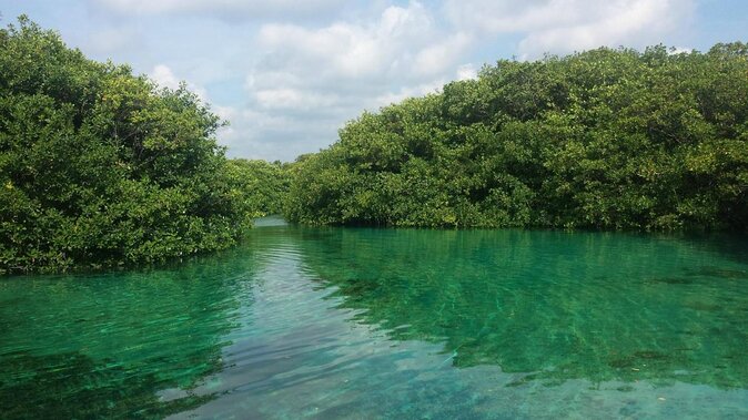 Scuba Dive Through Tulums Cenotes and Reefs - Good To Know