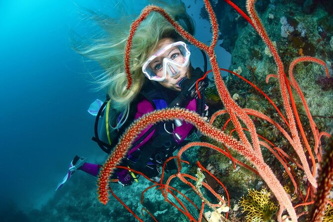 Scuba Dive With Sharing Transfers - Good To Know