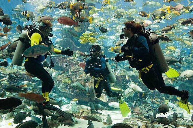 Scuba Diving at Jumeirah Dubai With Private Transfers