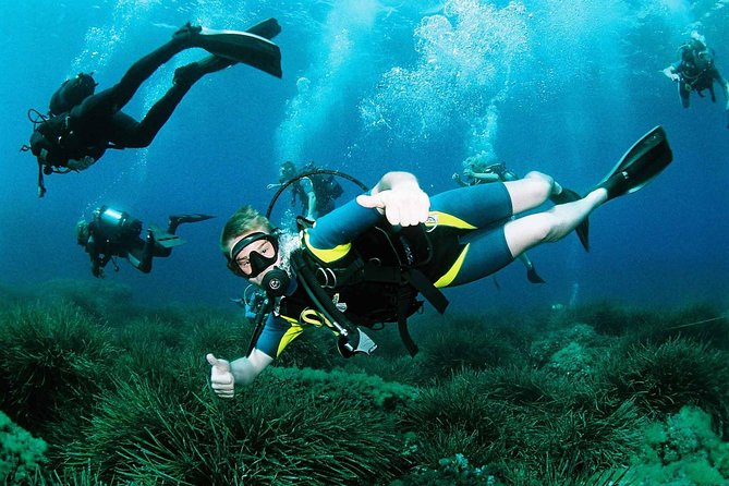 Scuba Diving Baptism and Snorkeling in Ibiza - Good To Know