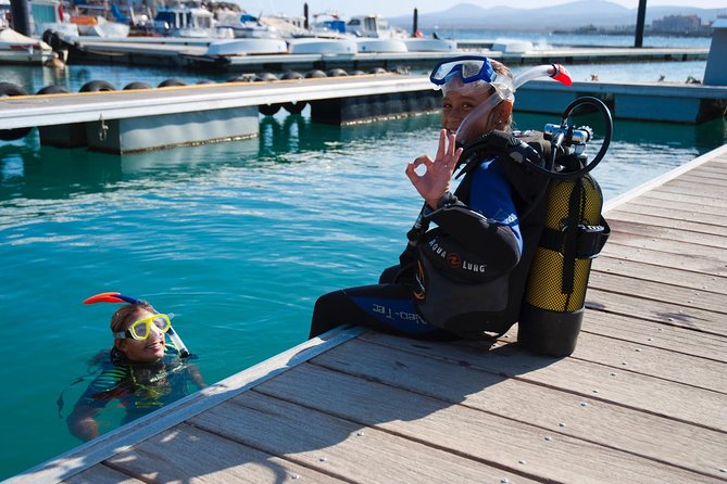 4 Best Scuba Diving Experiences In Fuerteventura