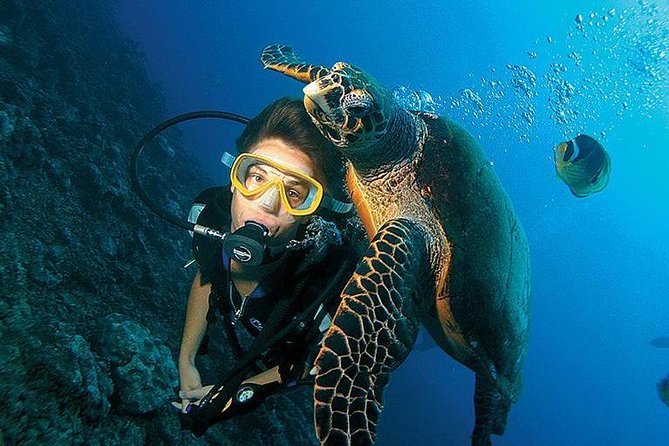 Scuba Diving Full of Adrenaline in Antalya