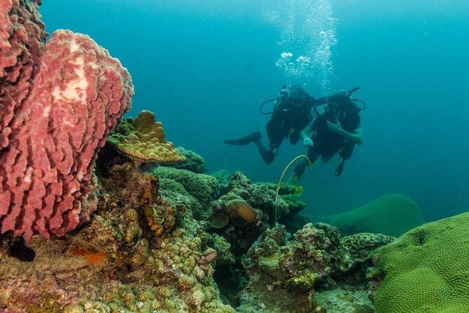 SCUBA Diving Lessons in Koh Lipe - Ko Lipe