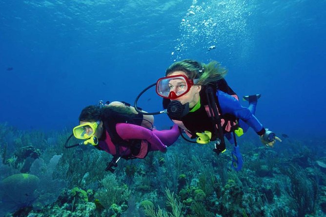 Scuba Diving Tour From Alanya - Side - Antalya - Pricing and Booking Details
