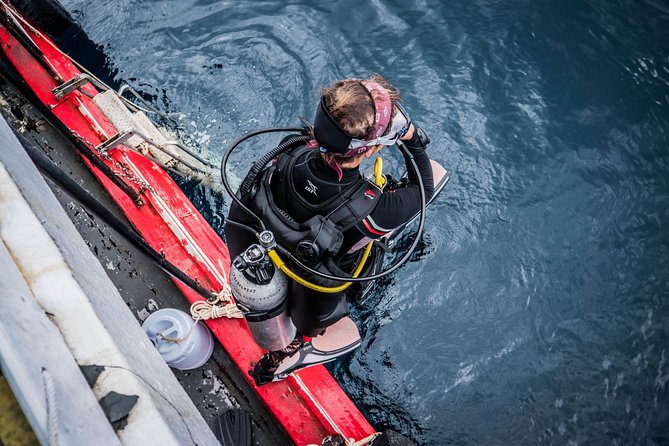 Scuba Diving Trip to Sail Rock From Koh Phangan (Certified Divers)