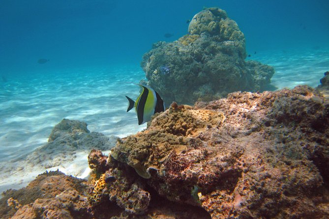 Scuba Diving Trips for Certified Divers