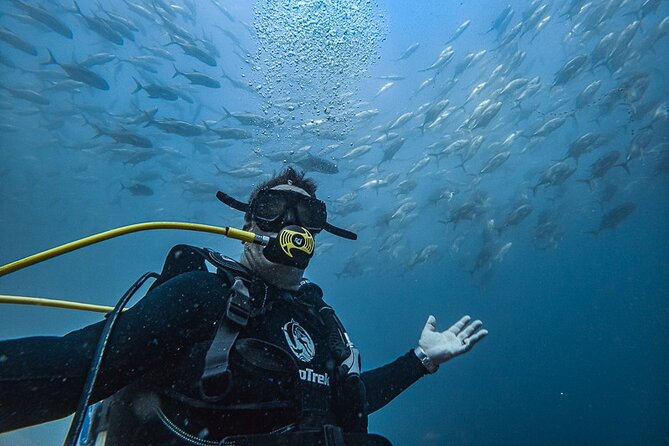 Scuba Diving
