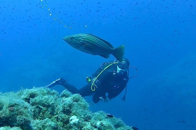 Scuba Experience - Good To Know