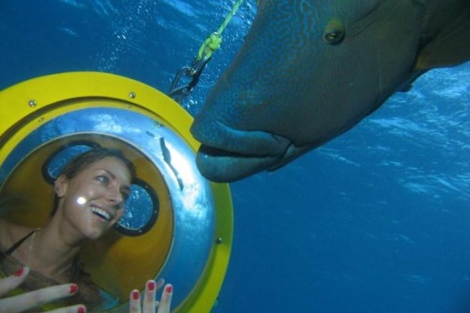 Scubadoo - Explore the Ocean in Punta Cana - ScubaDoo Experience Highlights