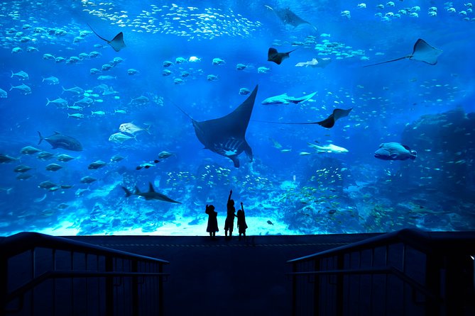 SEA Aquarium Admission Ticket - Good To Know