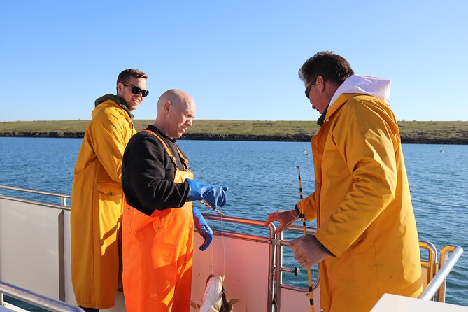 Sea Fishing Experience From Reykjavik - Good To Know
