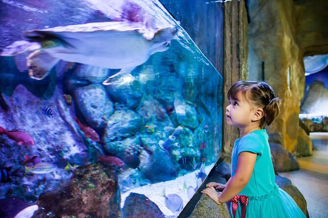 SEA LIFE Aquarium Grapevine Admission Ticket