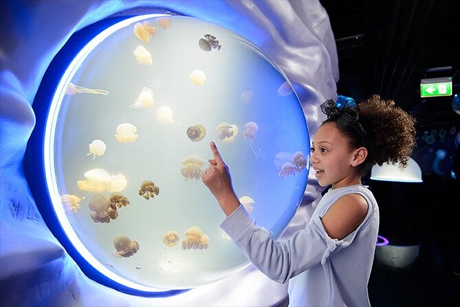 SEA LIFE London Aquarium Admission Ticket