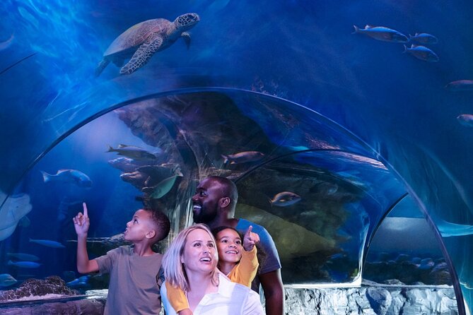 SEA LIFE New Jersey at American Dream - Good To Know