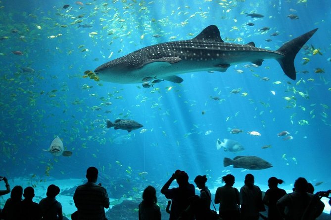 SEA LIFE Ocean World at Bangkok Admission Ticket - Good To Know