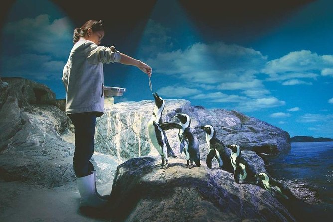 SEA LIFE Ocean World in Bangkok Admission Ticket - Good To Know