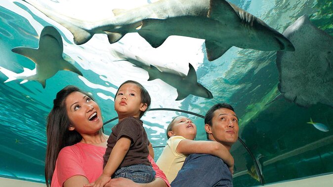 SEA LIFE Orlando Aquarium