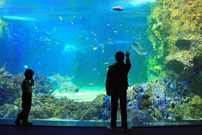 SEA LIFE Sydney Aquarium Entrance Ticket