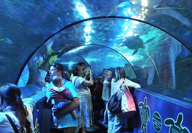 SEA LIFE Weymouth Ticket - Good To Know