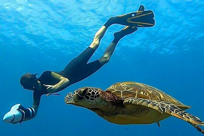 Sea Scooter Snorkel Tour – Guided Ocean Safari Reef and Lagoon Adventure