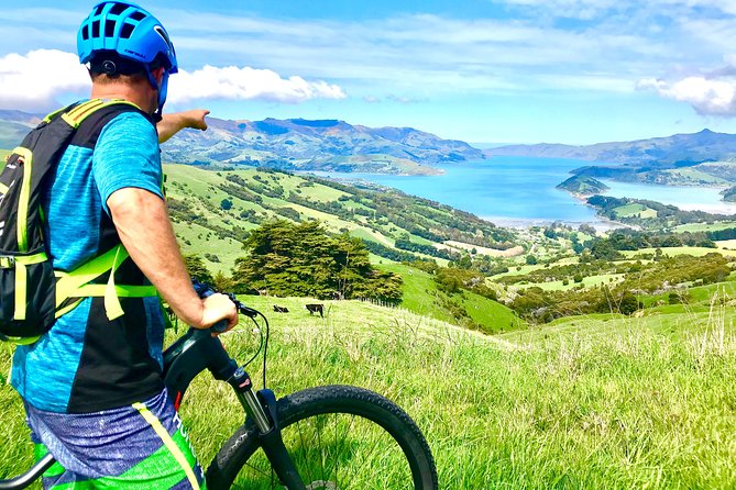 Sea to Summit- Electric Mountain Biking Tour in Akaroa