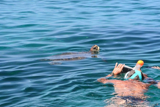 2 Best Snorkeling Experiences In Martinique