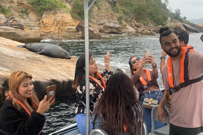 3 Best Dolphin Watching Tours In New South Wales