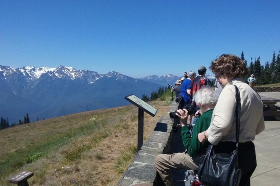 Seattle: Private Olympic Nat Park and Hurricane Ridge Tour - Good To Know