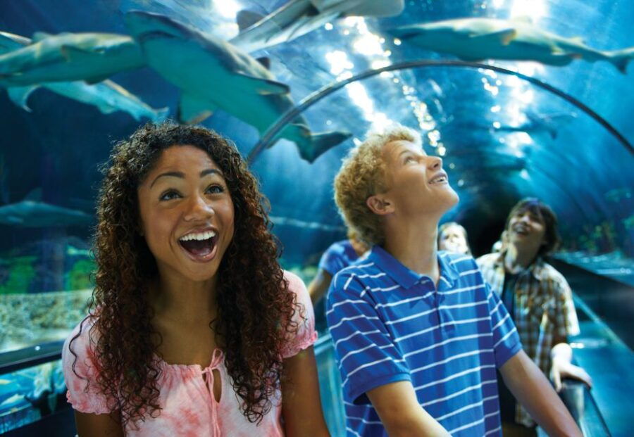 SeaWorld Orlando: Park Admission Ticket - Good To Know