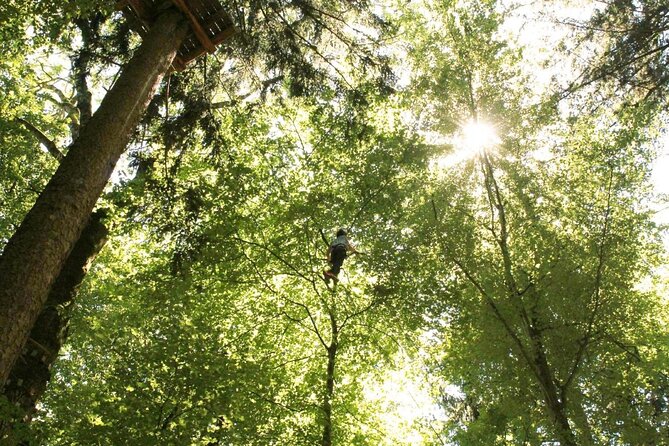Seilpark High-Ropes Adventure Park Admission in Interlaken - Good To Know